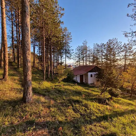 Bujtinat Skenderi * Gjinar