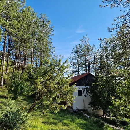 Bujtinat Skenderi * Gjinar