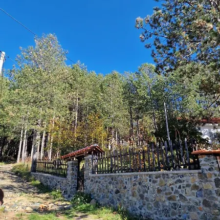 호스텔 Bujtinat Skenderi Gjinar