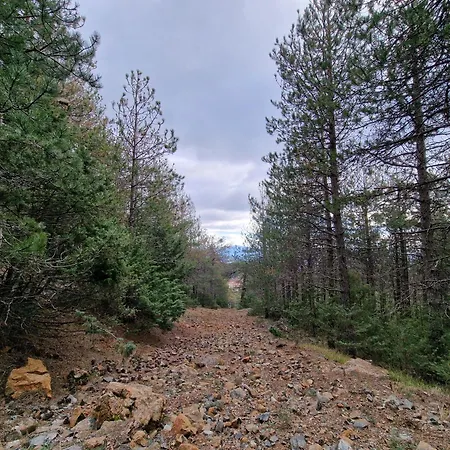 Bujtinat Skenderi Gjinar