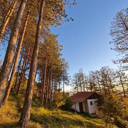 호스텔 Bujtinat Skenderi