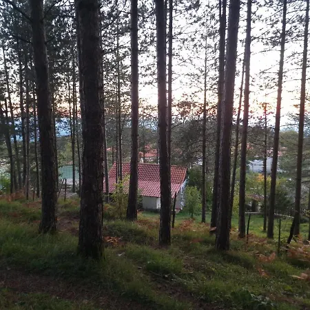 호스텔 Bujtinat Skenderi