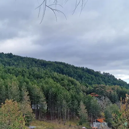 Hostel Bujtinat Skenderi