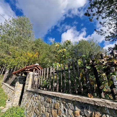 Hostel Bujtinat Skenderi *