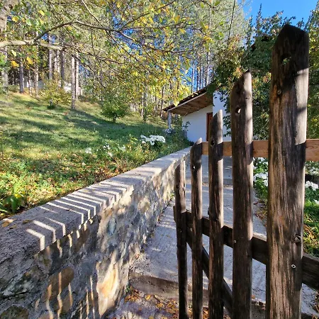 Bujtinat Skenderi Hostel *