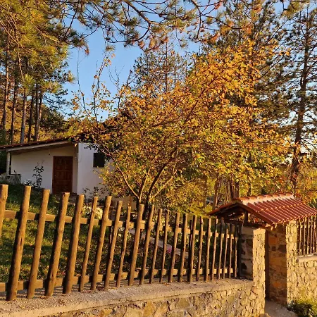 Bujtinat Skenderi Hostel