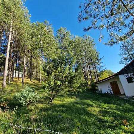 Hostel Bujtinat Skenderi *