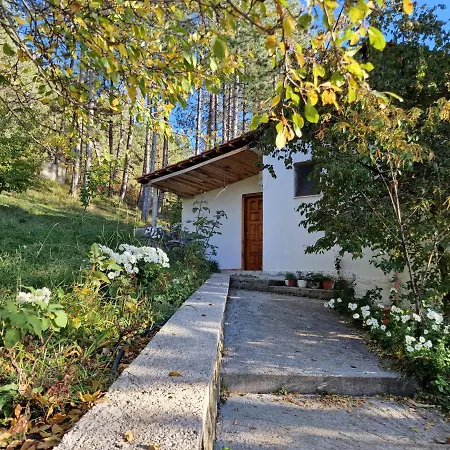 Bujtinat Skenderi