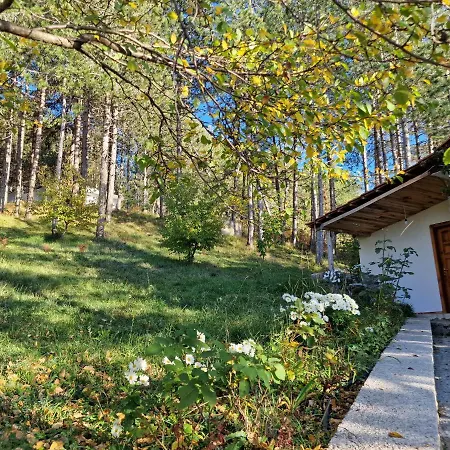 Hostel Bujtinat Skenderi