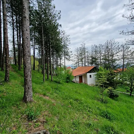 Hostel Bujtinat Skenderi Gjinar