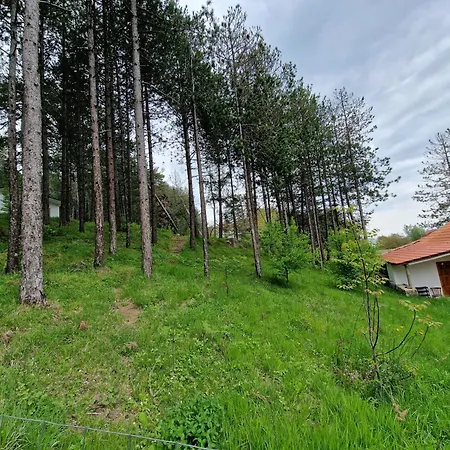 Hostel Bujtinat Skenderi