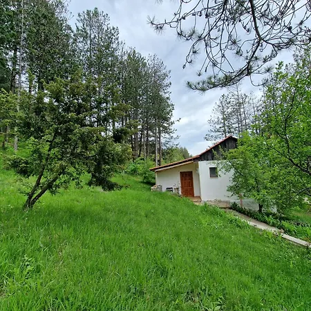 Hostel Bujtinat Skenderi