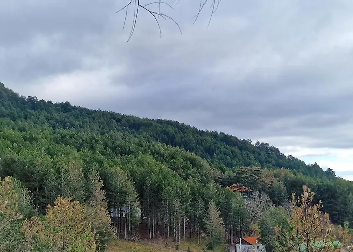 Hostel Bujtinat Skenderi