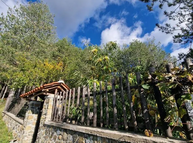 Hostel Bujtinat Skenderi *