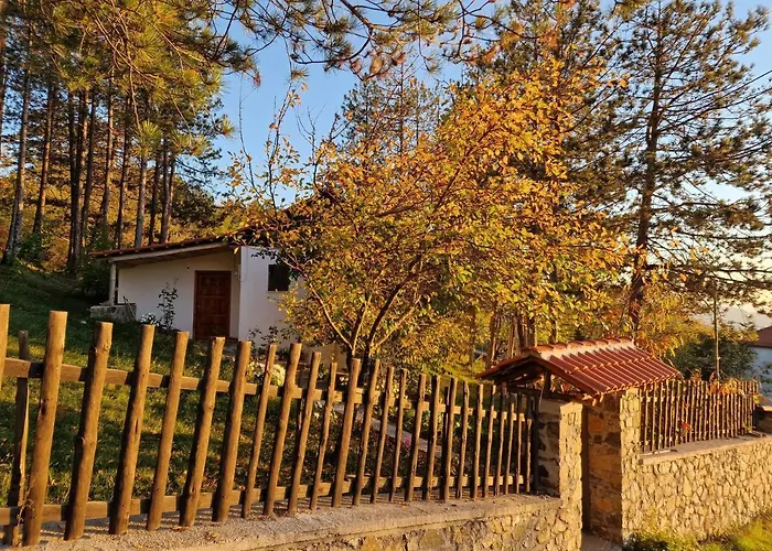 Bujtinat Skenderi Hostel