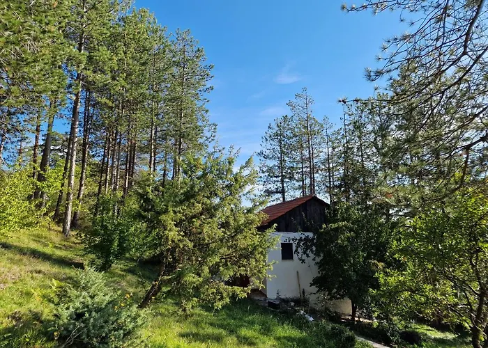 Bujtinat Skenderi * Gjinar
