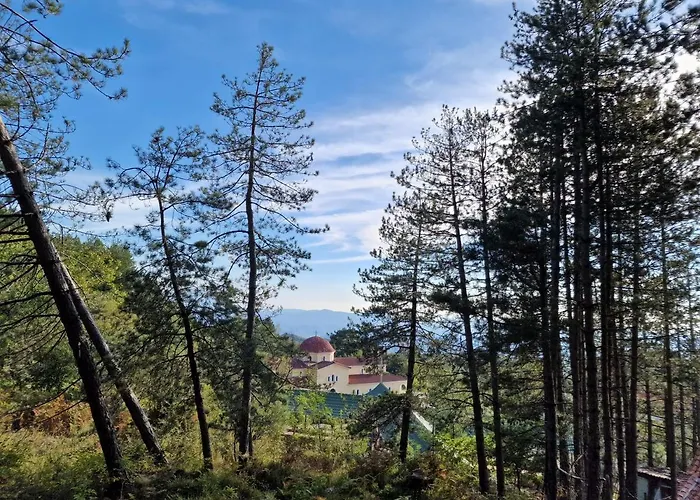 Bujtinat Skenderi *