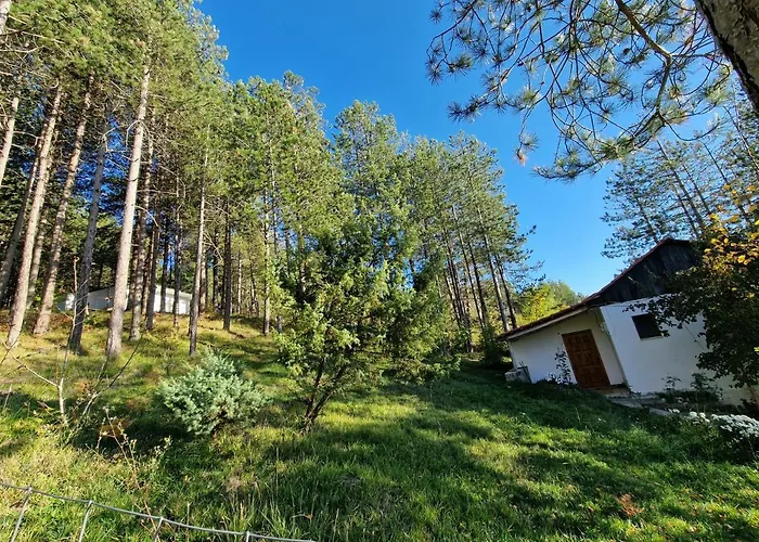 Hostel Bujtinat Skenderi *