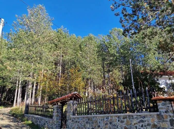 Hostel Bujtinat Skenderi Gjinar