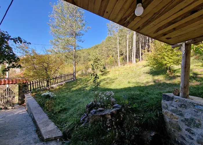 Bujtinat Skenderi *