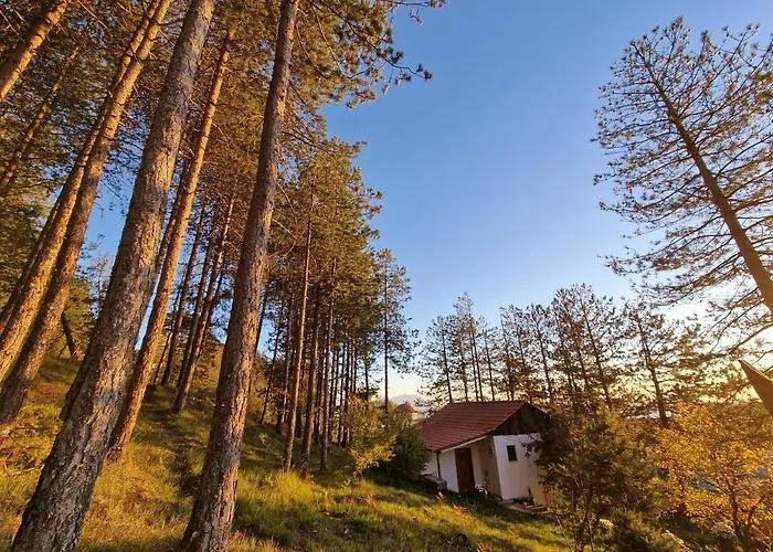 Hostel Bujtinat Skenderi