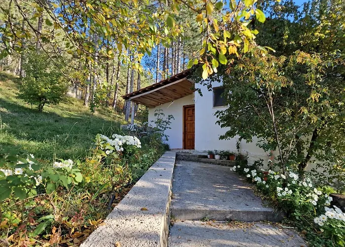 Bujtinat Skenderi