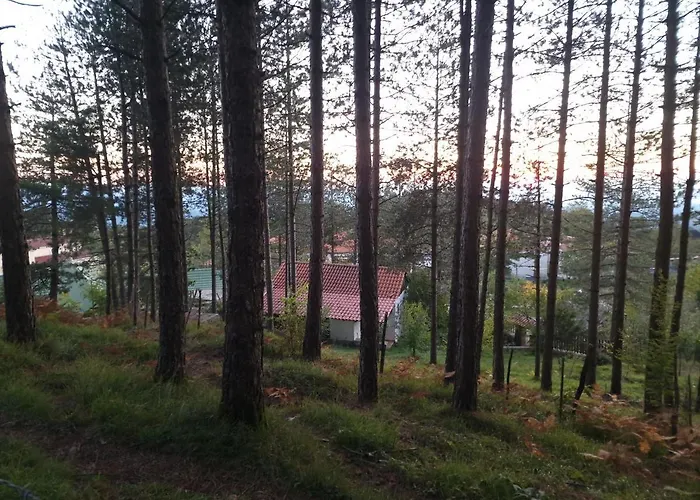 Hostel Bujtinat Skenderi