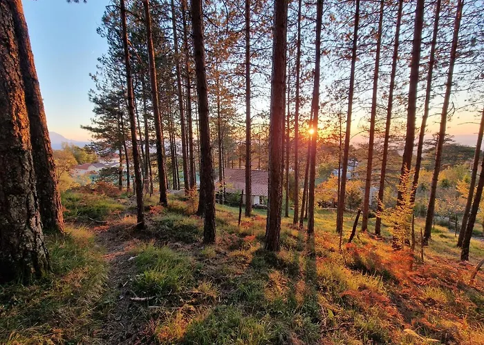 Bujtinat Skenderi *