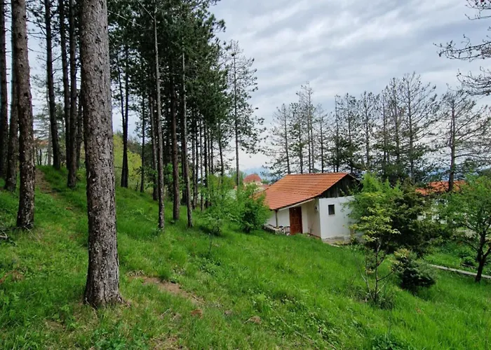 Hostel Bujtinat Skenderi Gjinar